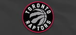 La bandiera con lo stemma dei Toronto Raptors
